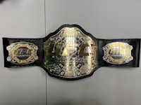 a ufc championship belt on a wall