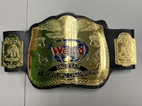 wwf world wrestling championship belt